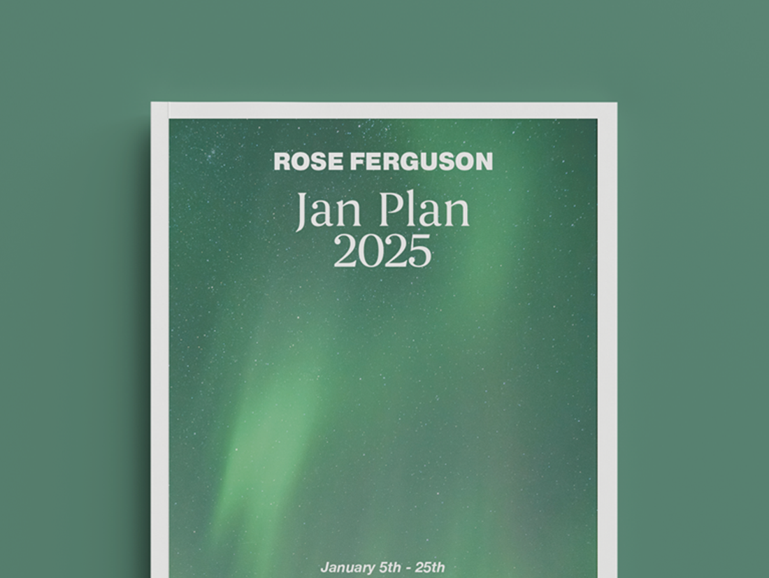 The Jan Plan 2025